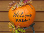 farm1_fall_ornamentals_finished004006.jpg