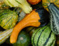 farm1_fall_ornamentals_finished005010.jpg