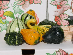 farm1_fall_ornamentals_finished010005.jpg