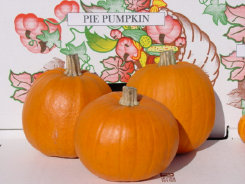 farm1_fall_ornamentals_finished014001.jpg