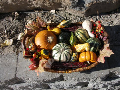 farm1_fall_ornamentals_finished017002.jpg